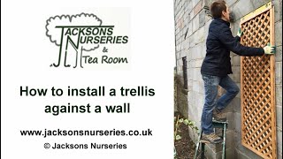 How to install a trellis against a wall [upl. by Mian]