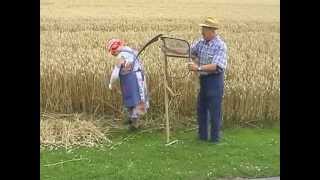 Teil 13 Getreide  Von der Saat bis zum Brot [upl. by Lotson]