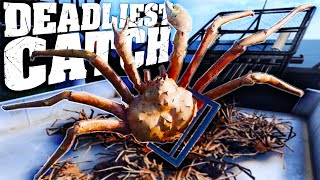 Deadly King Crab Fishing On The Bering Sea  Crab Fishing Simulator  Deadliest Catch The Game [upl. by Sylvanus]