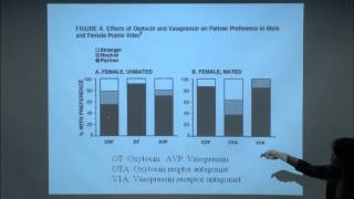 Brain and Behavior  Neurobiology of Love [upl. by Cohla]