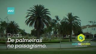 Dicas de Palmeiras no paisagismo 20 [upl. by Cathrin]