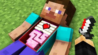 Minecraft But I Added Surgery [upl. by Wescott4]