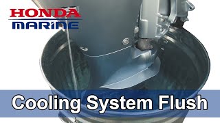 Honda Marine DIY Cooling System Flush Procedure [upl. by Ellerrehc]