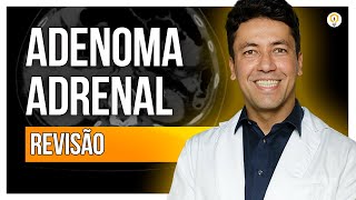 Revisão de ADENOMA ADRENAL [upl. by Darahs628]