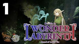 Awakening in a Strange Place  Deedlit in Wonder Labyrinth  Part 1 [upl. by Ponton]