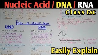 Nucleic Acid Composition  DNA  RNA  Class 11 amp 12 Biology [upl. by Gypsie865]