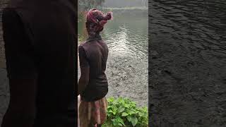 The fisherman is feeding the small fish in the pond shorts fish villagevlogs [upl. by Ytineres]