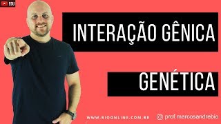 GENÉTICA  INTERAÇÃO GÊNICA [upl. by Athallia299]