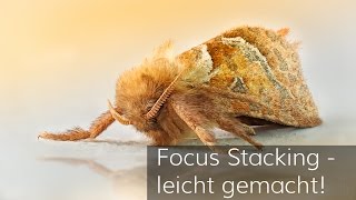 Focus Stacking  leicht gemacht [upl. by Fletcher]