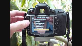 Nikon D90 movie tutorial [upl. by Gabel]