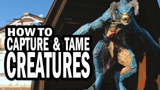 How to Catch and Tame Deathclaws Raiders and Other Creatures in Fallout 4 Wasteland Workshop DLC [upl. by Eriuqs]