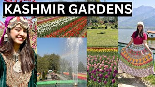 KASHMIR GARDENS AND SHANKARACHARYA Hills SHIVA TEMPLE [upl. by Lockhart975]