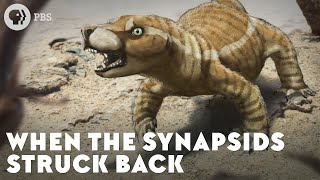 When the Synapsids Struck Back [upl. by Nilyam]