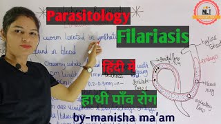 Filariasis हाथीपाँव  wuchereria bancrofti  Microfilaria  Mlt Lecture  Parasitology [upl. by Seugram]