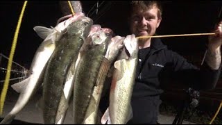 Walleye Fishing The Easiest Rig Ever Best Shore Setup To Catch Big River Walleye [upl. by Anair615]