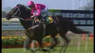 Octagonal Chipping Norton amp Australian Cup [upl. by Gabriellia25]