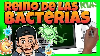 🦠 El REINO de las BACTERIAS o MONERAS para NIÑOS de PRIMARIA [upl. by Ioab821]