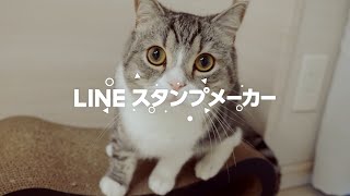 【公式】LINEスタンプメーカー：サービス紹介動画 [upl. by Lail]