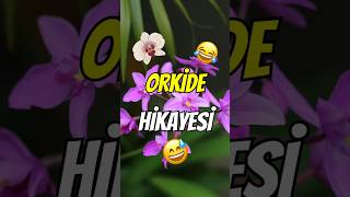 ORKİDE HİKAYESİ 😂😅🌺🌸 mizah komikvideo komedi karamizah hikaye mizahminibüsü mizahminibüsü [upl. by Reyaht]