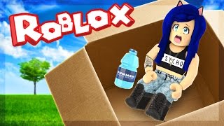 MAILED MYSELF IN A BOX CHALLENGE IN ROBLOX [upl. by Eirac]