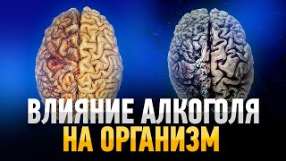 Влияние Алкоголя на Организм РЕАЛЬНЫЕ ФАКТЫ [upl. by Cataldo]