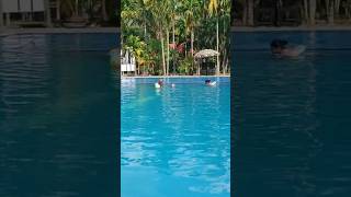 Swimming pool🏊 at Diglipur Andaman and nicobar islands [upl. by Aivatco]