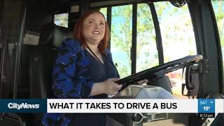 What does it take to drive a city transit bus [upl. by Moazami]