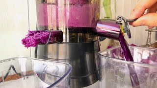 CAYNEL SLOW MASTICATING JUICER REVIEW cabbage juice [upl. by Walling]