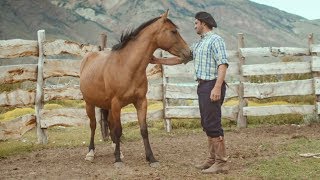 Wild Patagonian Horse Is Masterfully Tamed  Wild Patagonia  BBC Earth [upl. by Arnst]