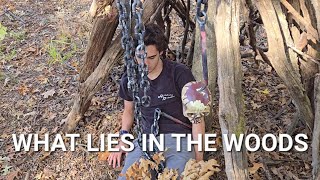 What Lies in the Woods  A short film [upl. by Hareehahs]