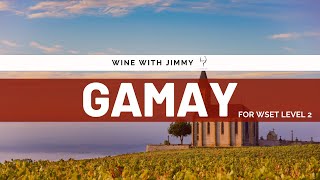 Gamay Noir Deep Dive The Heart of Beaujolais  WSET Level 2 Prep [upl. by Richardo966]