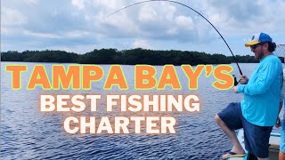 We Caught MONSTER Fish on This Tampa Fishing Charter [upl. by Gibe]