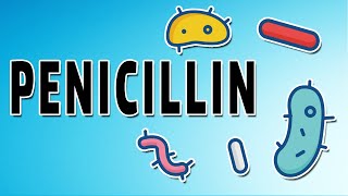 Penicillin Allergy Skin Testing with PREPEN® for Hospitals [upl. by Brandwein652]