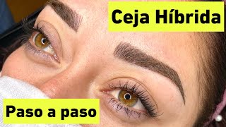 Como realizar la Ceja Híbrida paso a paso Micropigmentación de cejas microblading cejas [upl. by Eicam]