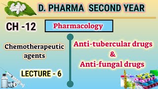 Anti tubercular drugs  Anti fungal drugs  DOTS  CH12  L6  Pharmacology  DPharm second year [upl. by Ydnil]