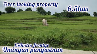 lot350 overlooking property 120sqm only 65has 150 mtrs frontge brgy semented road umingan pang [upl. by Atinuhs]