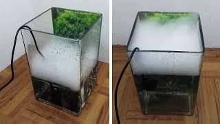 Ultrasonic Mist Maker Testing on Mini Fish Tank [upl. by Euqinimod]