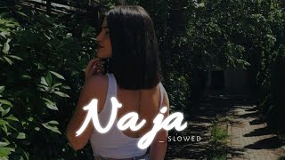 Na ja  Love mashup  Punjab mashup  slowed reverb  old vs new  SANGEETIND [upl. by Rizas816]