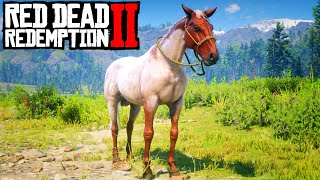 JAI LE PLUS BEAU CHEVAL DU JEU  RED DEAD REDEMPTION 2 [upl. by Armanda]