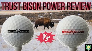 Trust Bison Power VX Golf Ball Review [upl. by Yonit]