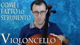 VIOLONCELLO come è fatto lo strumento [upl. by Vanhook]