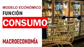 Macroeconomía función de consumo [upl. by Immat]