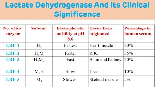 Lactate Dehydrogenase And Its Clinical Significance  LDH Biochemistry [upl. by Gilbertina]