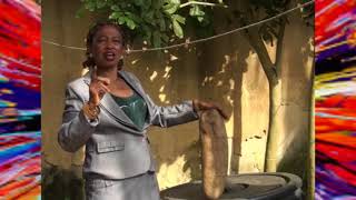 The medicinal use of Kigelia africana Sausage Tree Pandoro Iyan Rawuya Utuenyi [upl. by Rudolfo]