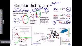 Circular dichroism [upl. by Eiramalegna333]