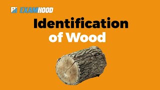 Identification Of Wood [upl. by Joline]