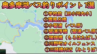 奥多摩湖 バス釣りポイント 7選 おかっぱりポイントまとめ [upl. by Eihcra]