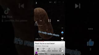 Pebble The Potato Cool Bean [upl. by Drud]