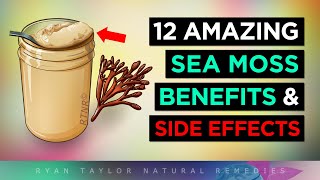 Sea Moss Gel 12 Amazing Health Benefits amp Side Effects [upl. by Charita]