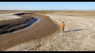 De la esperanza a la realidad el estuario del río Colorado [upl. by Eydie647]